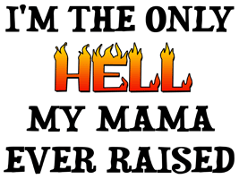 the only hell my momma ever raised shirt