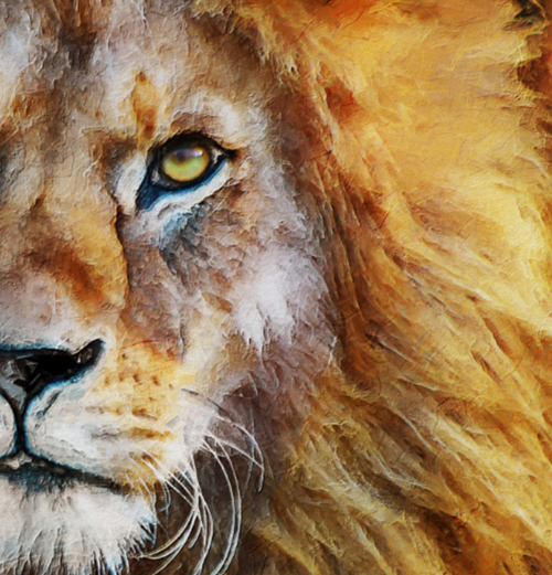 Lion Oil Painting Prints and Products